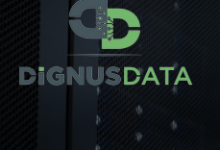 dignusdata：香港VPS（路由直连），€28/月，4G内存/8核/120gSSD/10T流量